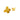 Golden Bugs and Butterflıes