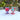 Tanti Goblets